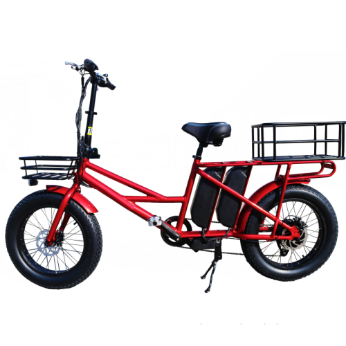 Bicicletta elettrica a 2 batterie per carichi pesanti con autonomia di 100 km